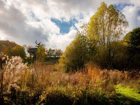 nature reserve and bird watching